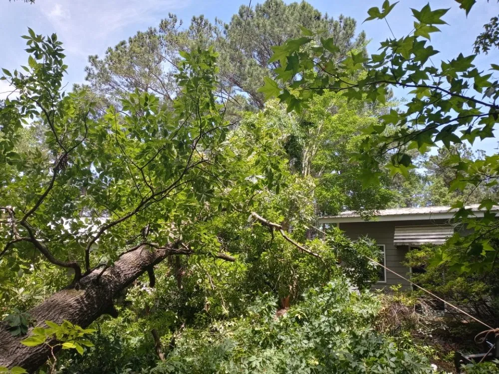 Top-rated landscape installation in Montgomery, AL - One Source Tree Service & Landscape