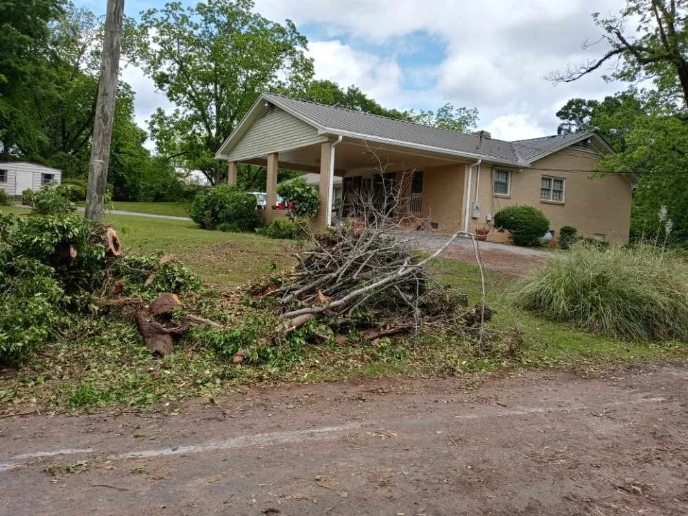 Reliable outdoor landscaping for year-round maintenance across Montgomery, AL - One Source Tree Service & Landscape