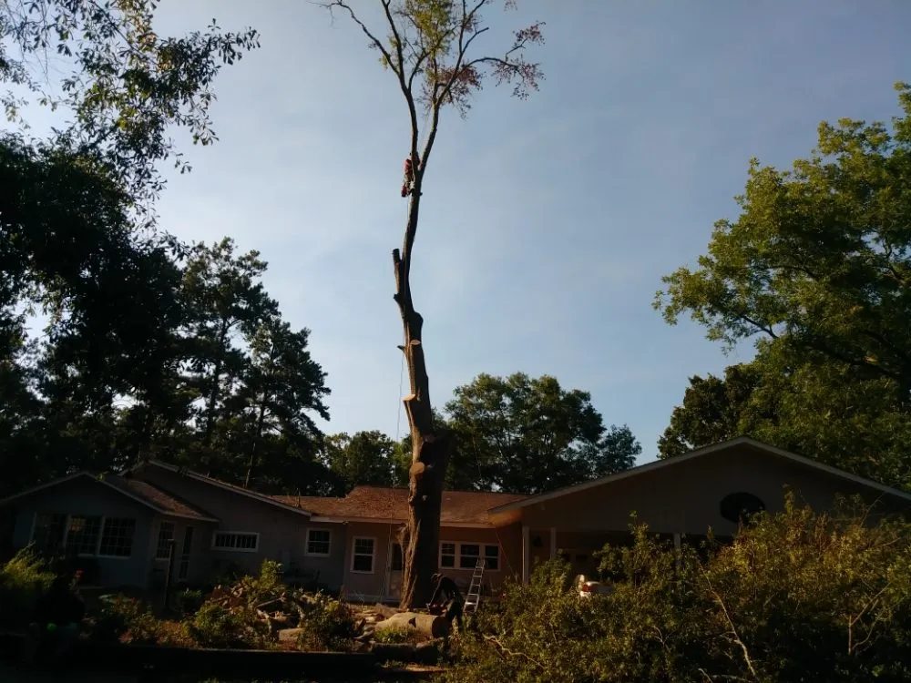 Reliable landscaping services for homes in Montgomery, AL by One Source Tree Service & Landscape