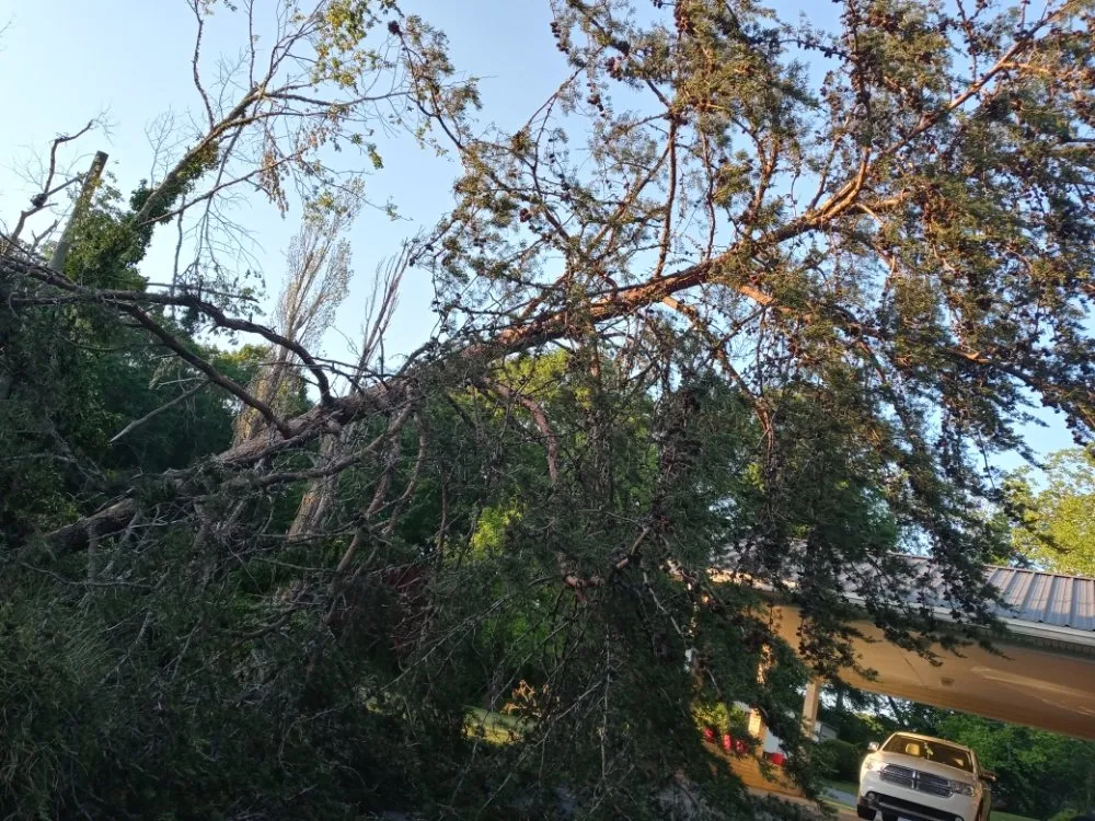 Affordable yard cleanup service experts serving Montgomery, AL - One Source Tree Service & Landscape