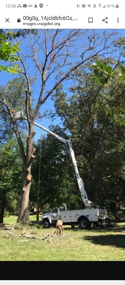 Top-rated outdoor landscaping for residential properties across Montgomery, AL - One Source Tree Service & Landscape