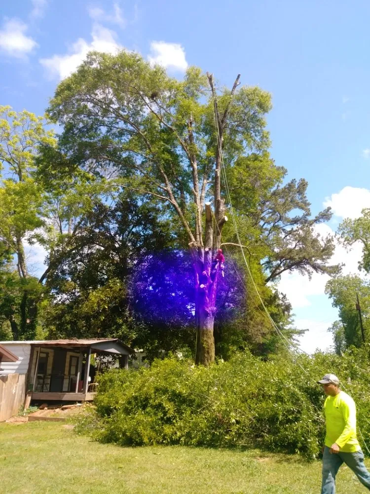 Custom yard cleanup service in Montgomery, AL by One Source Tree Service & Landscape