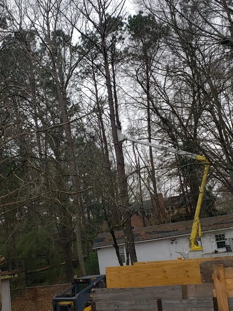 Custom garden landscaping for residential properties across Montgomery, AL - One Source Tree Service & Landscape