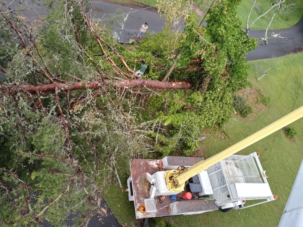 Custom residential landscaping in Montgomery, AL by One Source Tree Service & Landscape