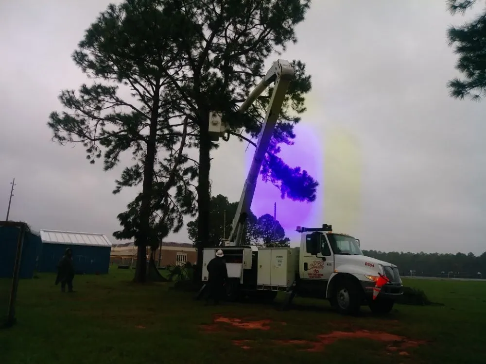 Reliable lawn mowing service for outdoor upgrades across Montgomery, AL - One Source Tree Service & Landscape