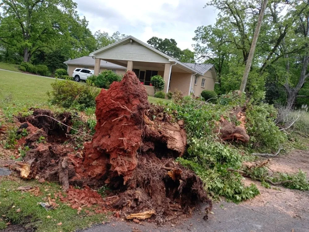 Trusted landscape design experts serving Montgomery, AL - One Source Tree Service & Landscape