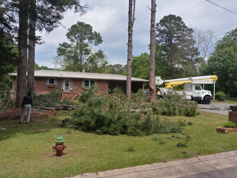 Expert landscaping services for homes across Montgomery, AL - One Source Tree Service & Landscape