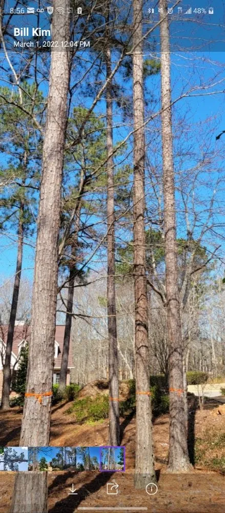 Local landscape design near you across Montgomery, AL - One Source Tree Service & Landscape