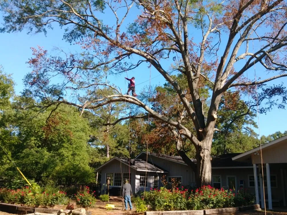 Custom residential landscaping for year-round maintenance across Montgomery, AL - One Source Tree Service & Landscape