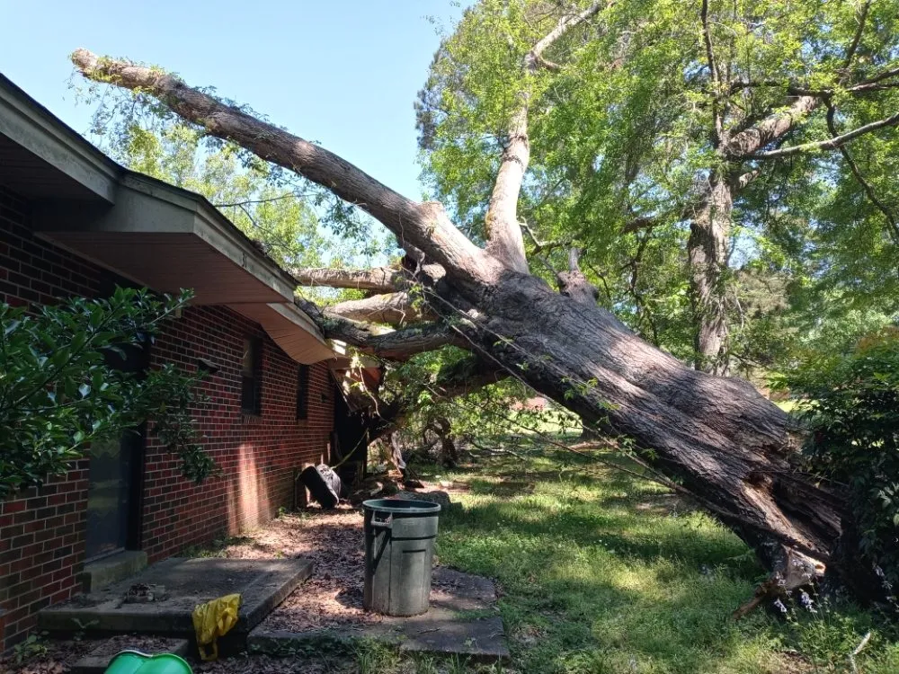 Custom residential landscaping in Montgomery, AL - One Source Tree Service & Landscape