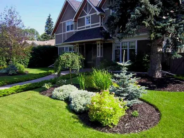 Top-rated lawn care service for beautiful yards in Lakewood, OH by One Step Beyond
