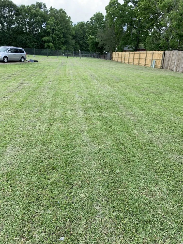 Top-rated landscape installation in Baton Rouge, LA by One Step Lawn And Landscaping