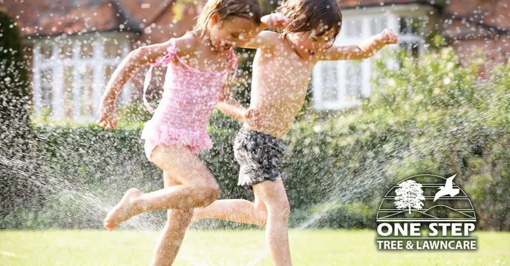 Local yard maintenance in North Chili, NY - One Step Tree and Lawn Care