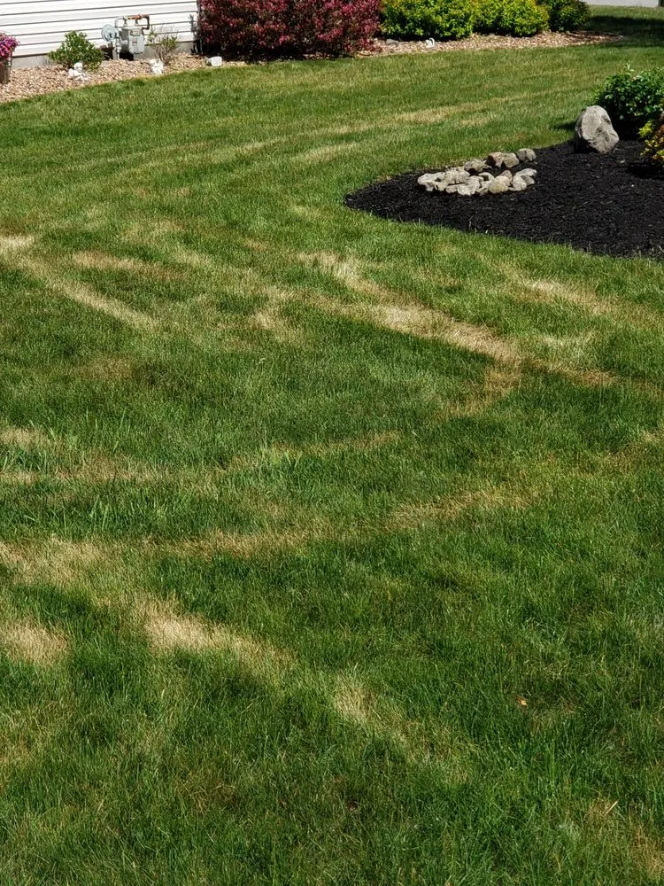 Custom landscaping services near you across North Chili, NY - One Step Tree and Lawn Care