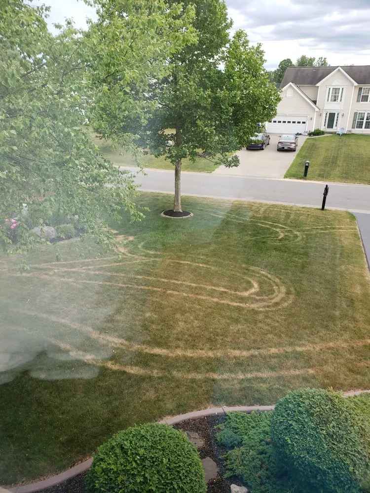 Professional landscape design for outdoor upgrades across North Chili, NY - One Step Tree and Lawn Care