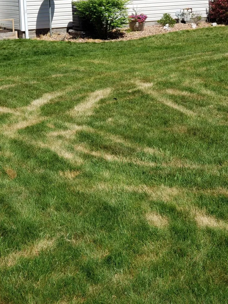 Affordable landscape design in North Chili, NY by One Step Tree and Lawn Care
