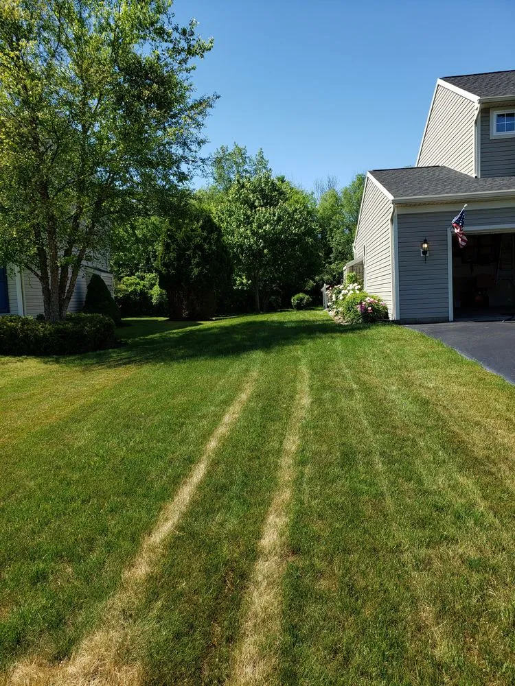 Top-rated outdoor landscaping in North Chili, NY - One Step Tree and Lawn Care