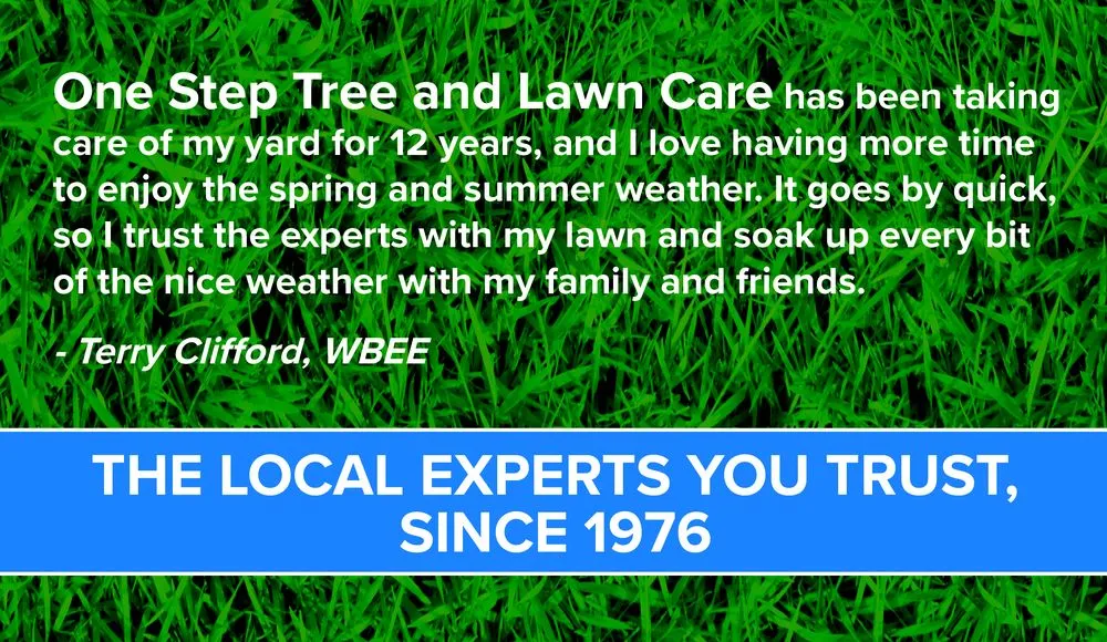 Affordable landscape design in North Chili, NY by One Step Tree and Lawn Care