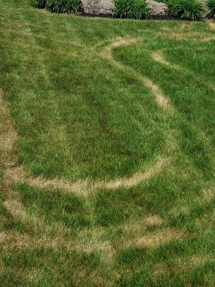Professional garden landscaping in North Chili, NY by One Step Tree and Lawn Care