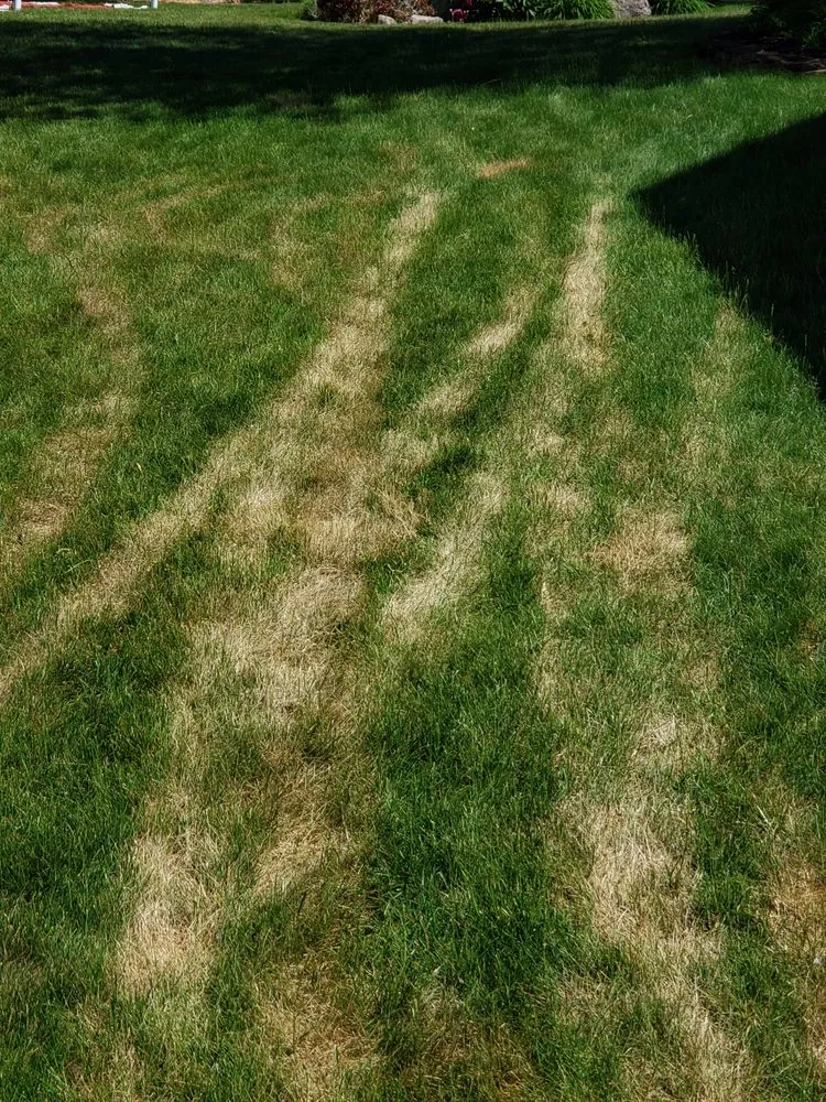 Affordable landscape installation in North Chili, NY - One Step Tree and Lawn Care