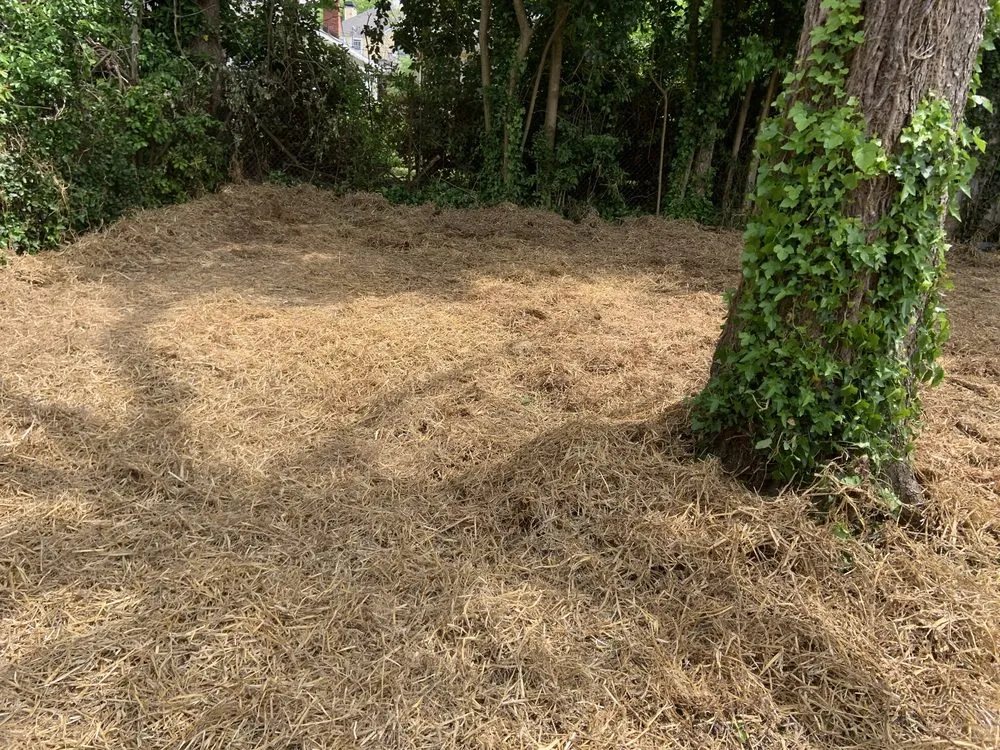 Top-rated lawn care service near you in Milledgeville, GA by One Stop Chop