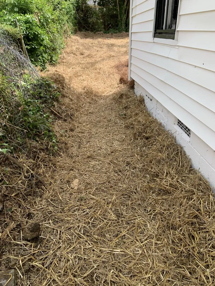 Reliable yard cleanup service in Milledgeville, GA by One Stop Chop