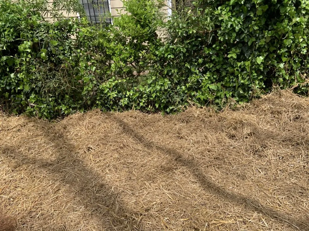 Custom landscaping services in Milledgeville, GA by One Stop Chop