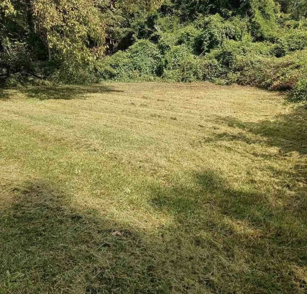 Reliable lawn mowing service experts serving Milledgeville, GA - One Stop Chop