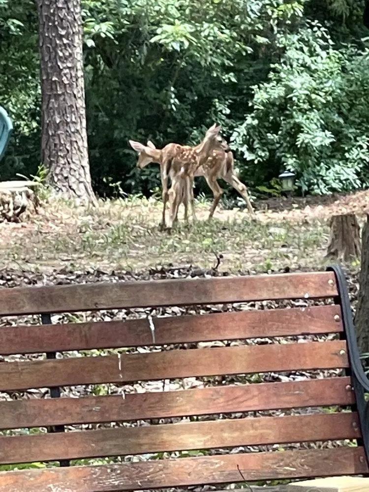 Custom lawn care service experts serving Milledgeville, GA - One Stop Chop