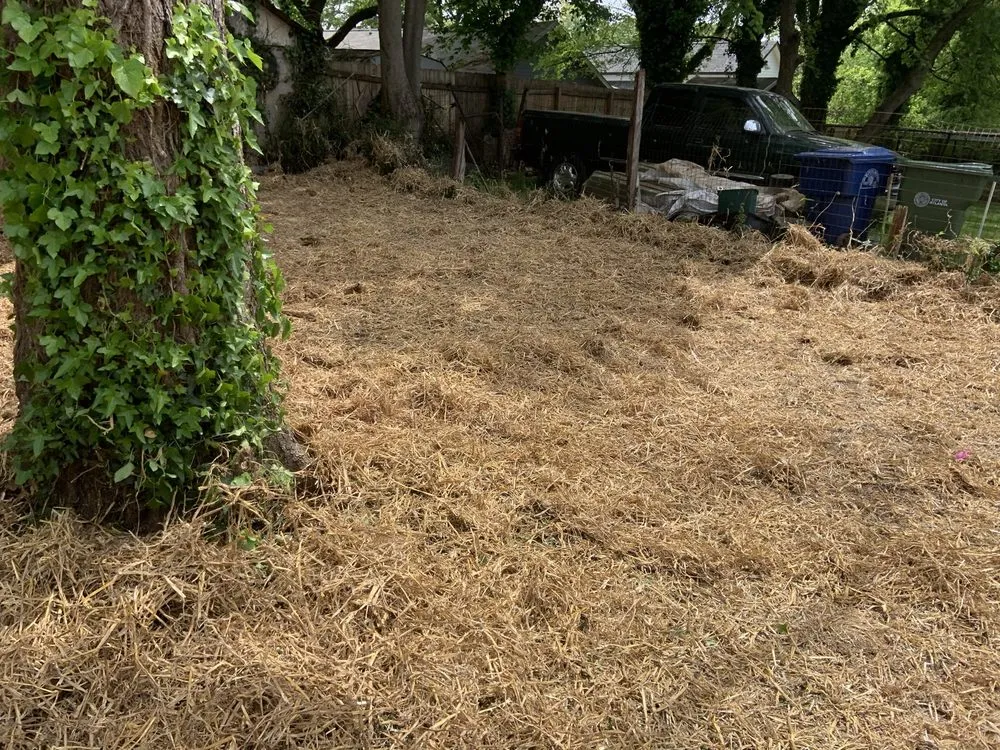 Reliable lawn care service for homes across Milledgeville, GA - One Stop Chop