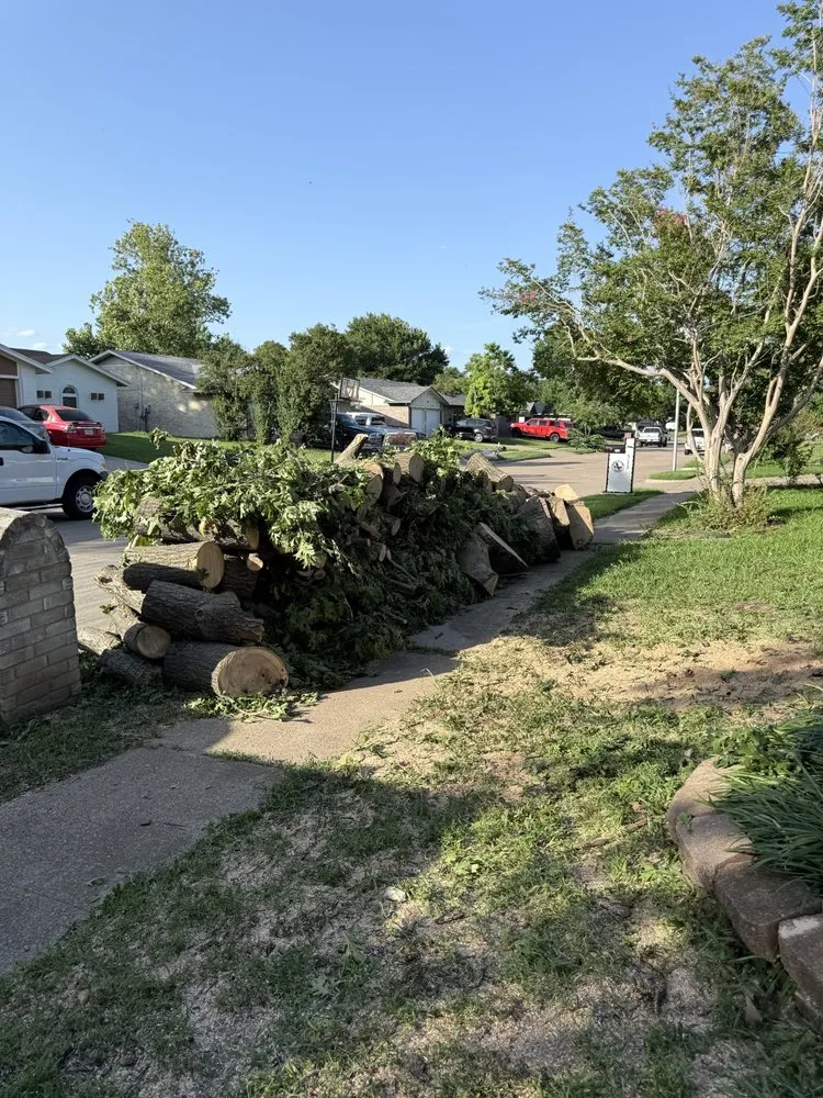 Local yard maintenance in Cedar Hill, TX by One Stop Home Services