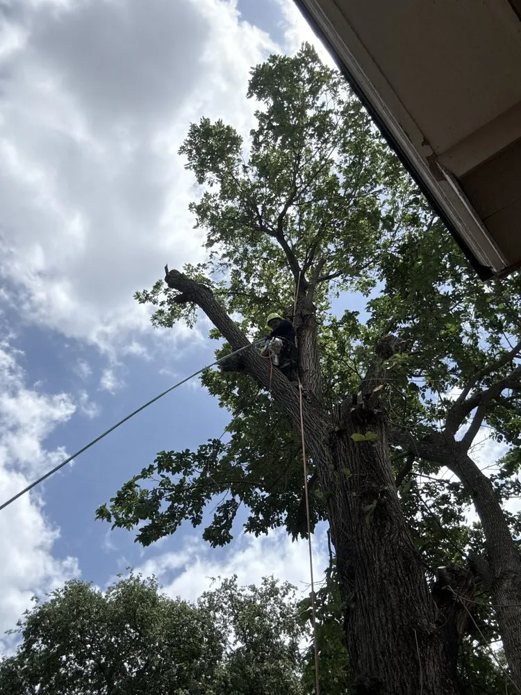 Custom lawn mowing service for residential properties in Cedar Hill, TX by One Stop Home Services