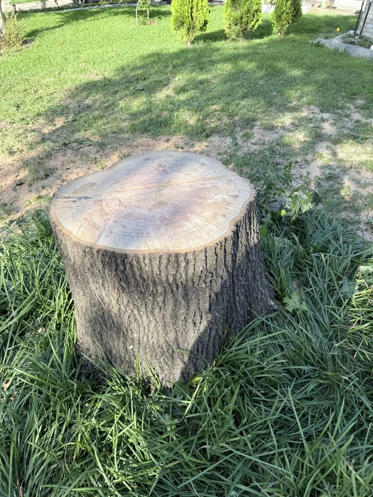 Local residential landscaping near you in Cedar Hill, TX by One Stop Home Services