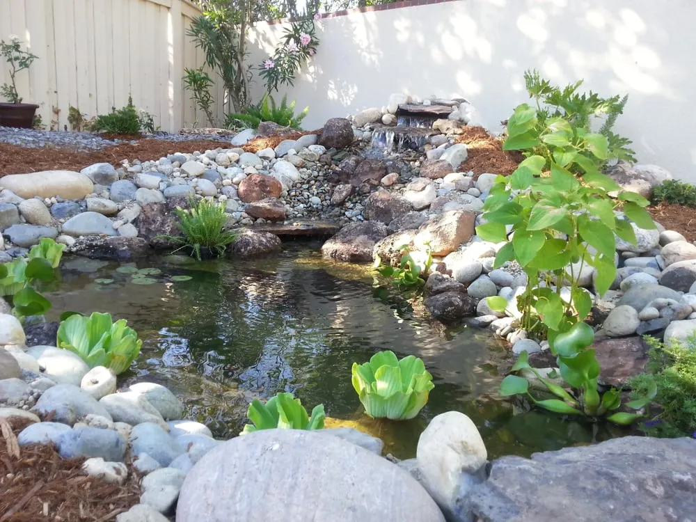 Local lawn care service in Elverta, CA by One Stop Landscaping