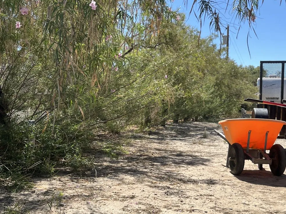 Custom lawn mowing service in Pahrump, NV - One Stop Landscaping