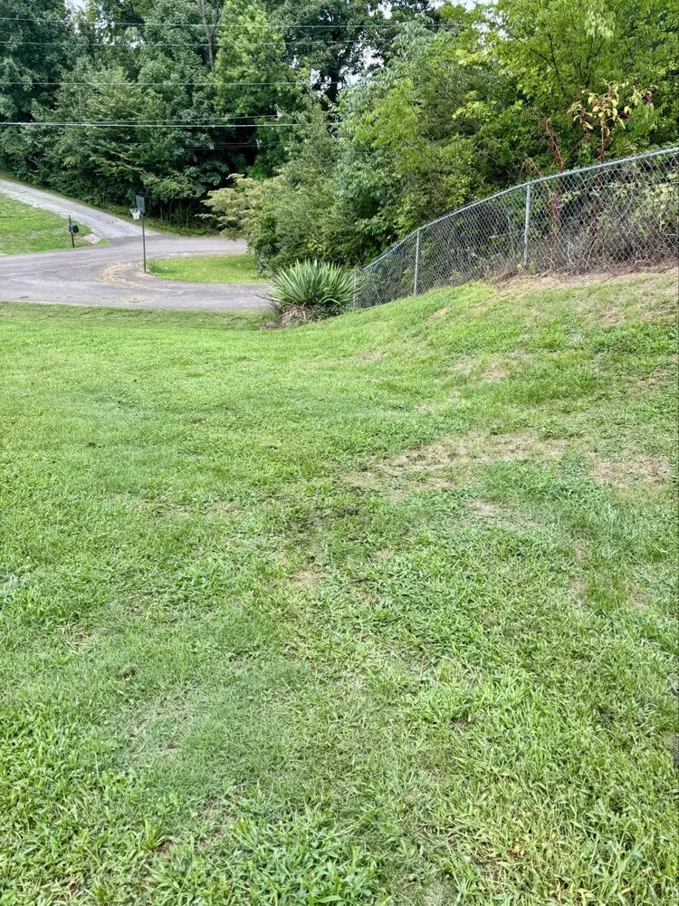 Professional yard cleanup service in Knoxville, TN - One stop lawn service and pressure washing