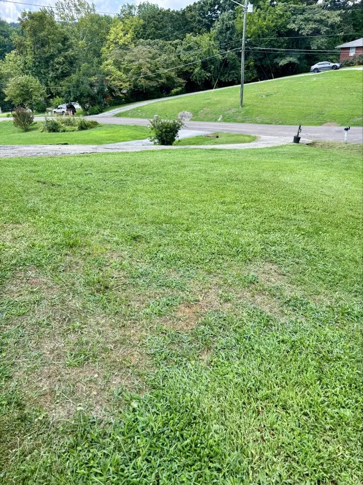 Professional garden landscaping in Knoxville, TN by One stop lawn service and pressure washing