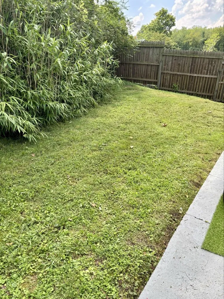 Affordable garden landscaping in Knoxville, TN by One stop lawn service and pressure washing