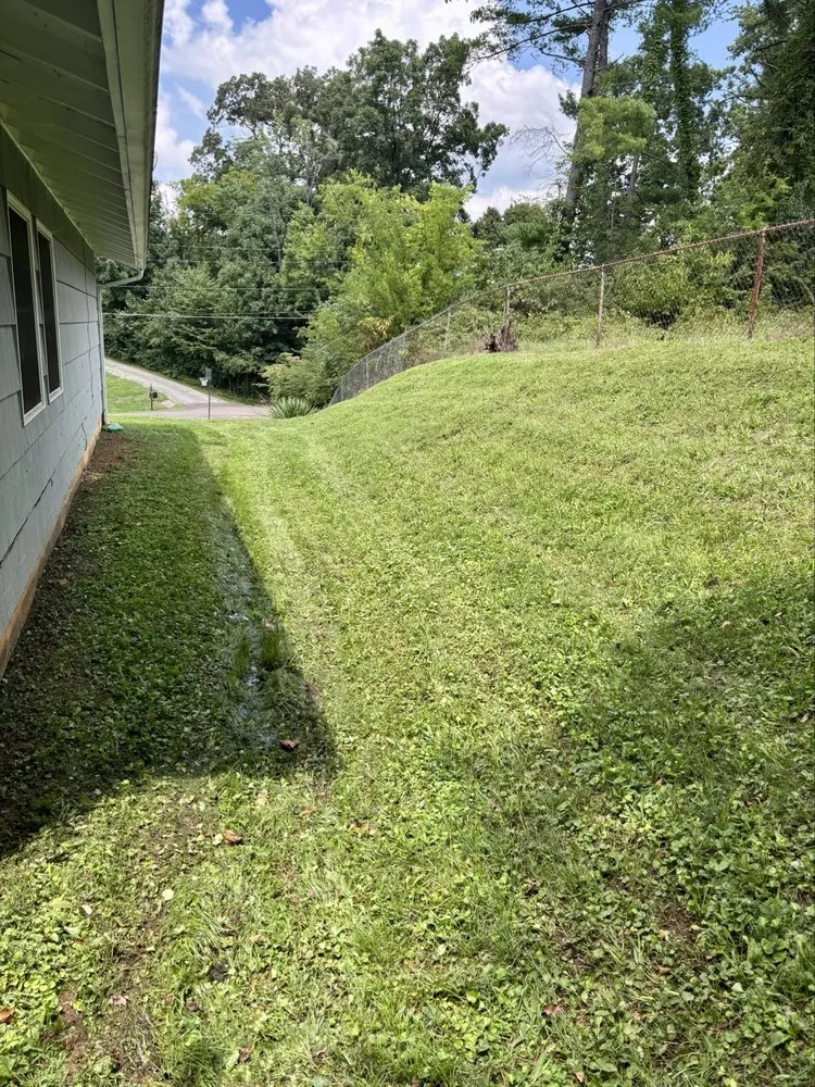 Local landscape design in Knoxville, TN by One stop lawn service and pressure washing