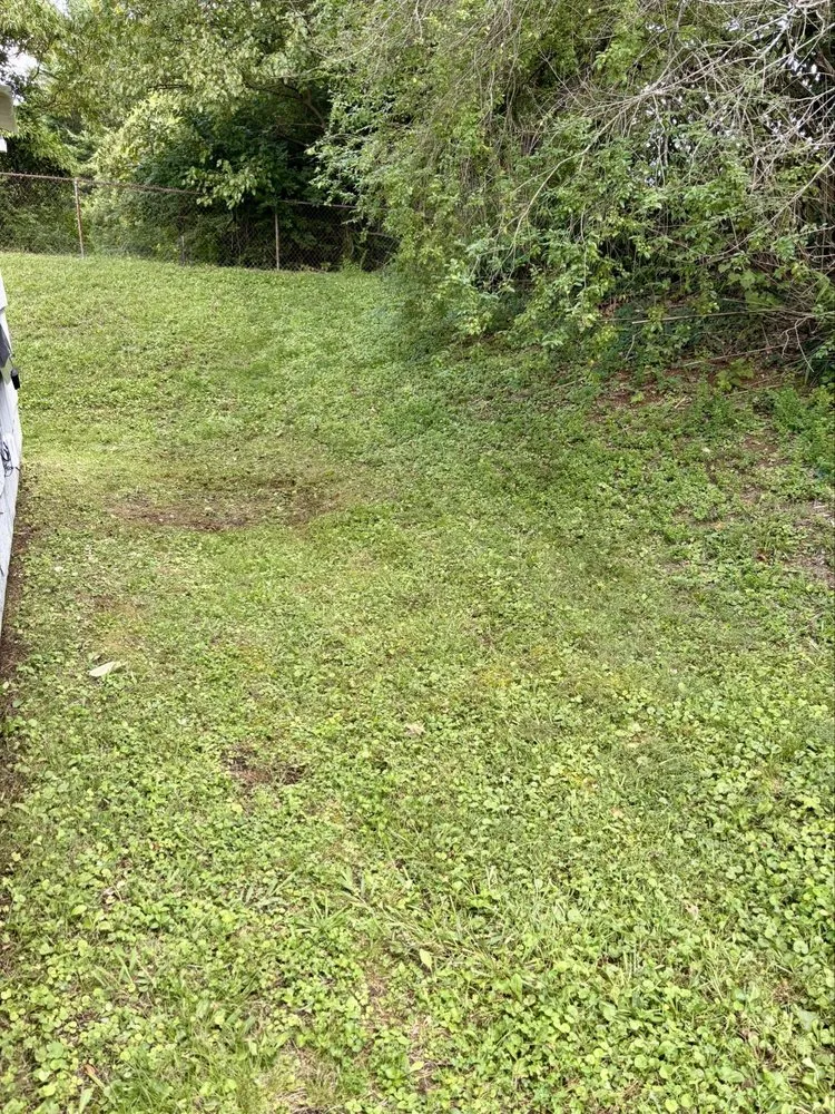 Affordable yard maintenance in Knoxville, TN - One stop lawn service and pressure washing