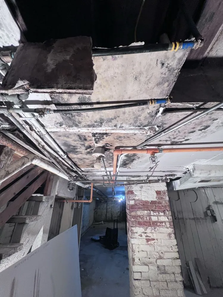 Expert garden landscaping in Duluth, MN - One Stop Shop