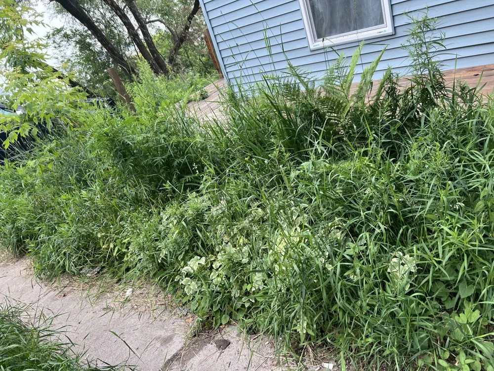 Trusted outdoor landscaping for residential properties in Duluth, MN by One Stop Shop