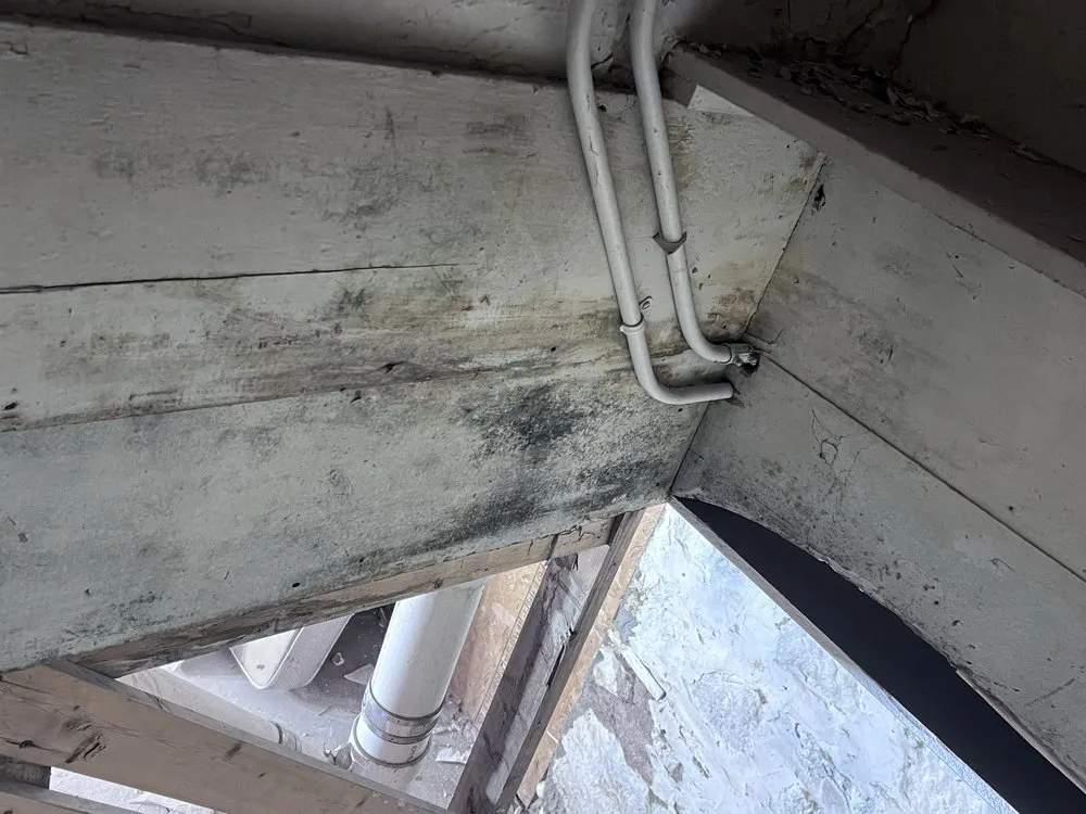 Professional garden landscaping for beautiful yards in Duluth, MN by One Stop Shop