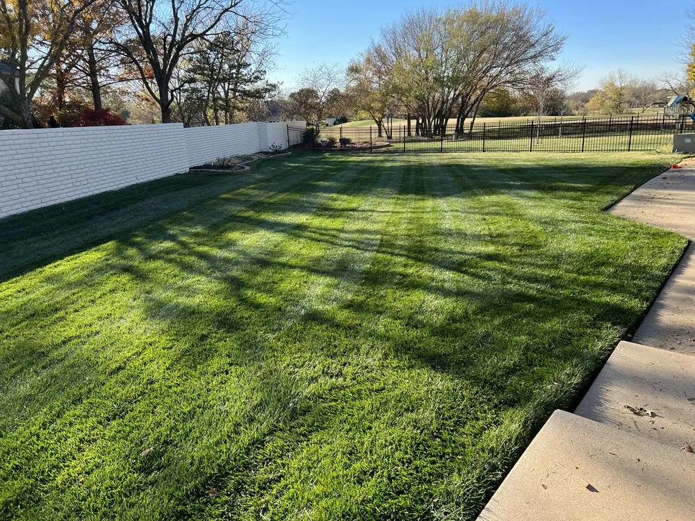 Affordable yard cleanup service in Wichita, KS - One Stop Solution