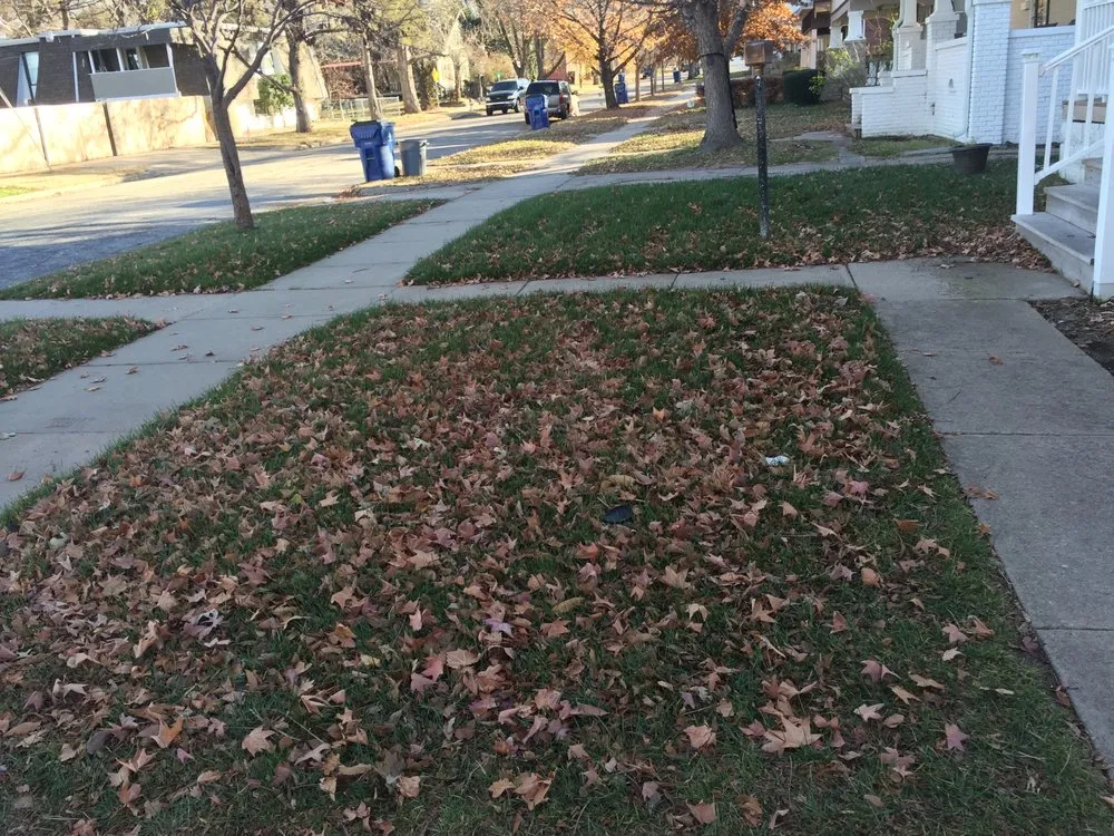 Trusted lawn care service with custom design in Wichita, KS by One Stop Solution