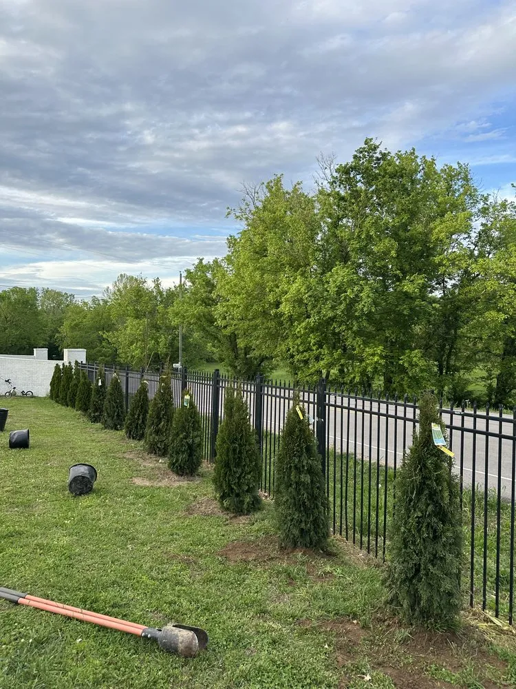 Expert landscaping services for outdoor upgrades across Nolensville, TN - One Stop Solutions