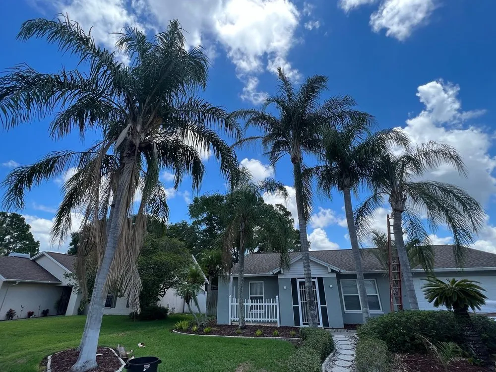 Trusted lawn care service for residential properties in Tampa, FL by One Stop Tree Service