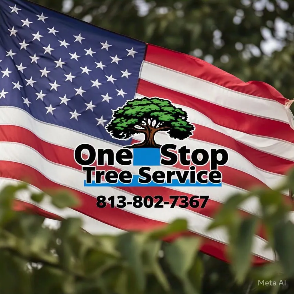 Custom landscaping services in Tampa, FL - One Stop Tree Service