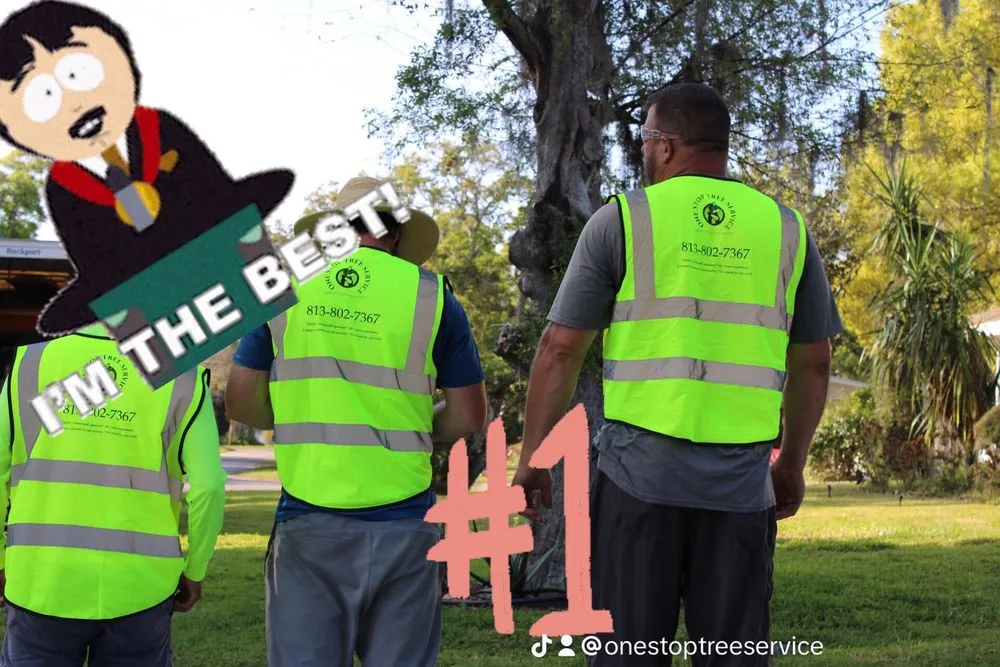 Local outdoor landscaping in Tampa, FL - One Stop Tree Service