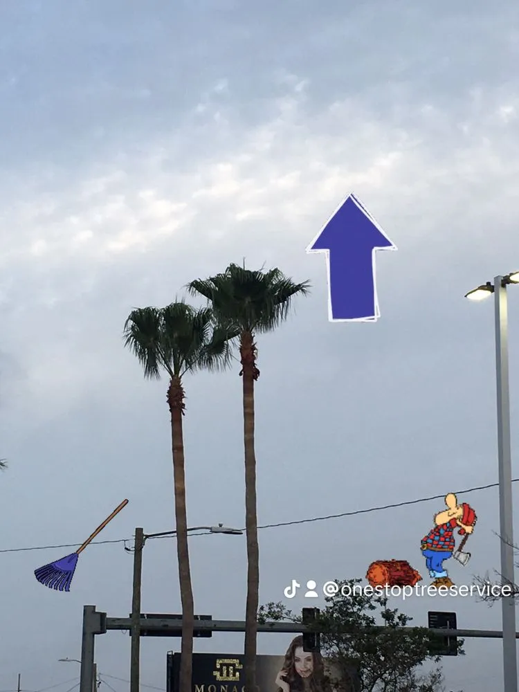 Professional landscape design near you across Tampa, FL - One Stop Tree Service